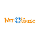 NetChinese